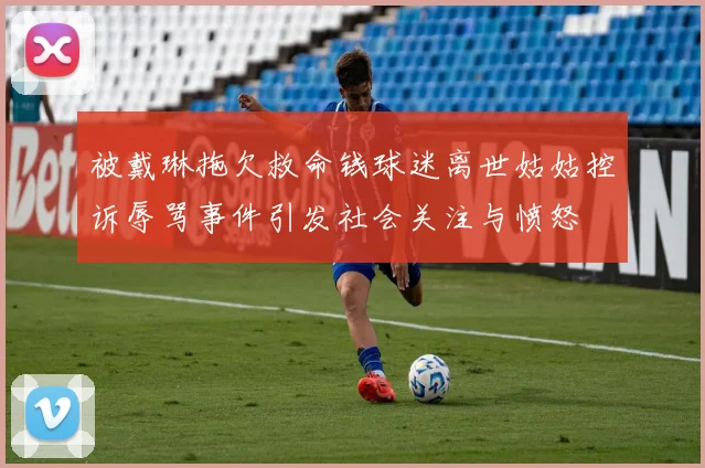 被戴琳拖欠救命钱球迷离世姑姑控诉辱骂事件引发社会关注与愤怒