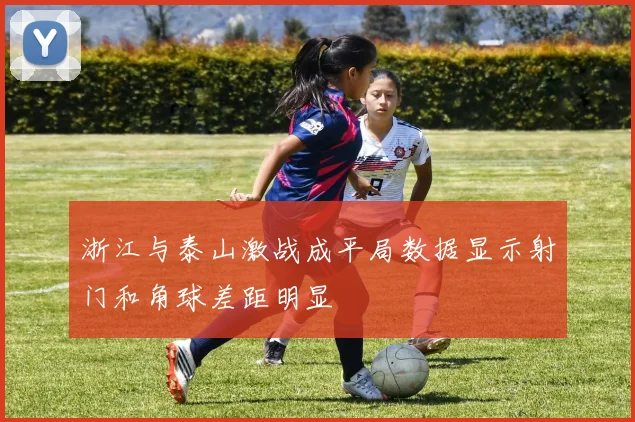 浙江与泰山激战成平局数据显示射门和角球差距明显